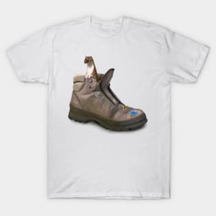 Weasel In Old Boot T-Shirt